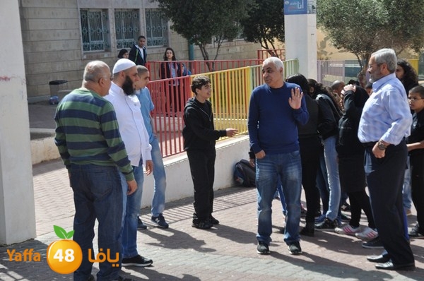 trees shamela 0321 (51).JPG